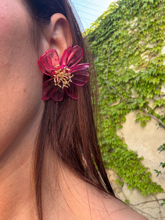 Boucle Rosa